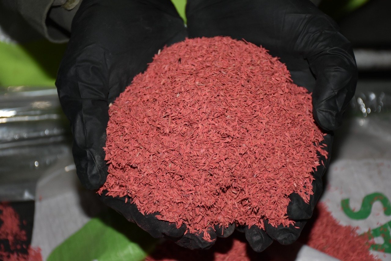 Decomisan 140 toneladas de soja y más de 6 toneladas de semillas